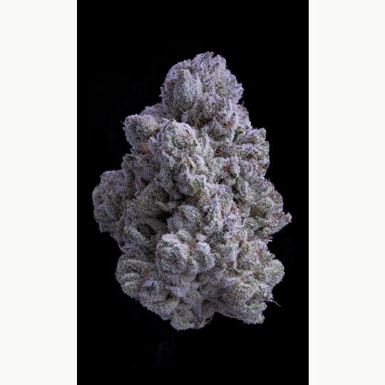 Sticky Status - Snow White - Flower 3.5g Jar - 1