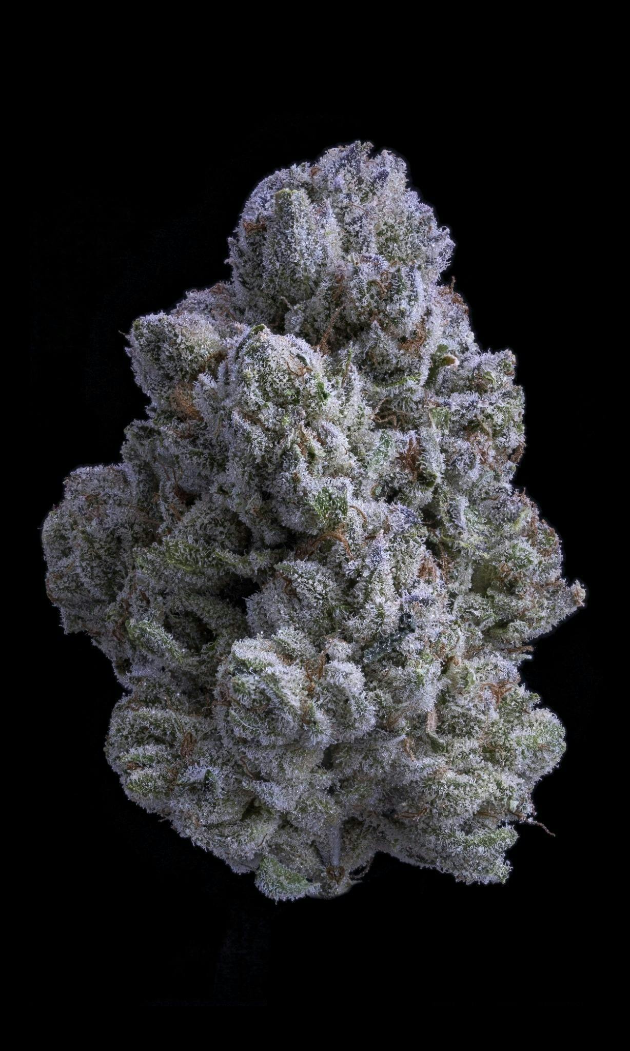Sticky Status - Sticky Satus | Snow White | Big Buds | 3.5g - 1