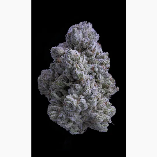 Sticky Status - Sticky Satus | Snow White | Big Buds | 3.5g - 1