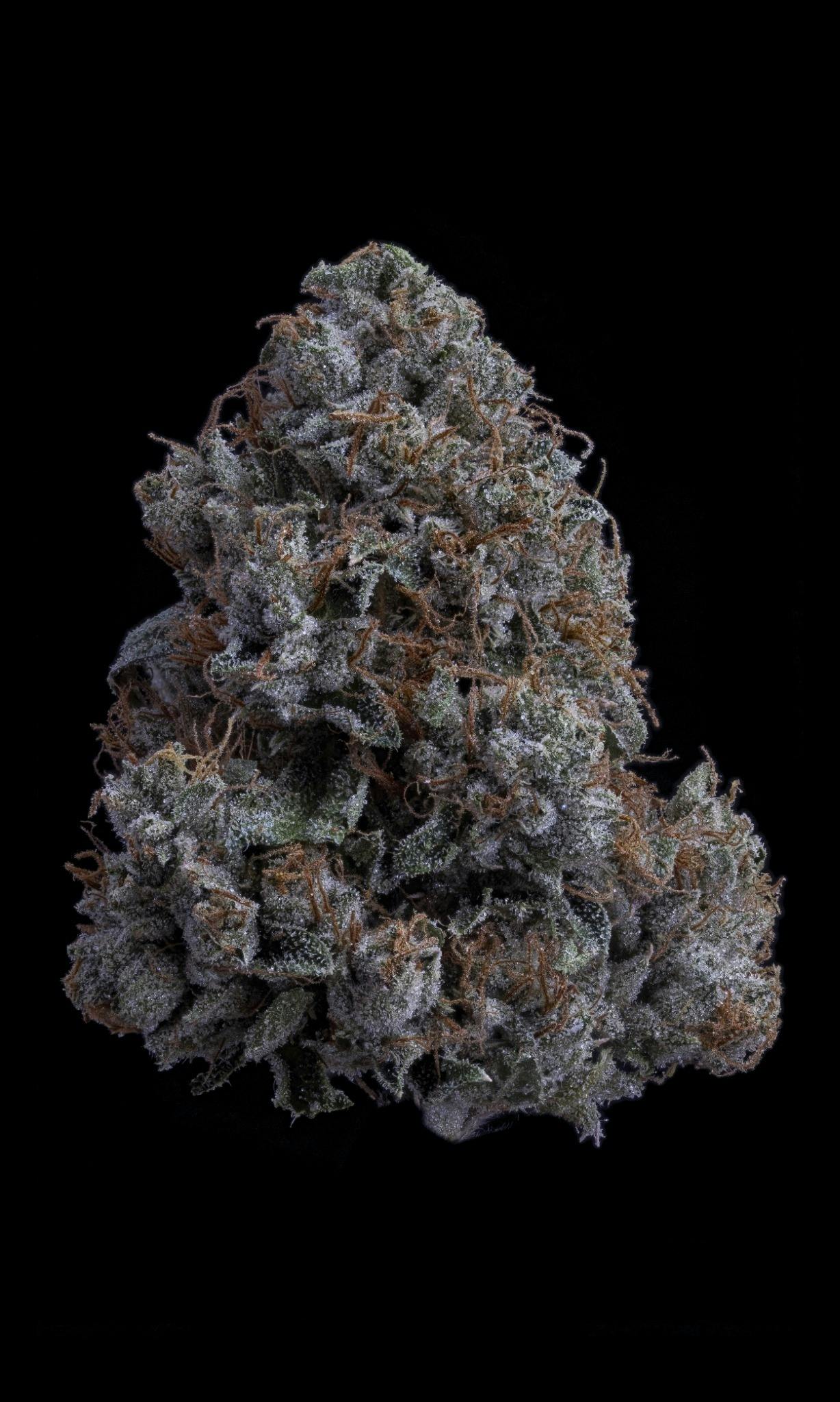 Sticky Status - K1 OG - Flower 3.5g Jar - 1