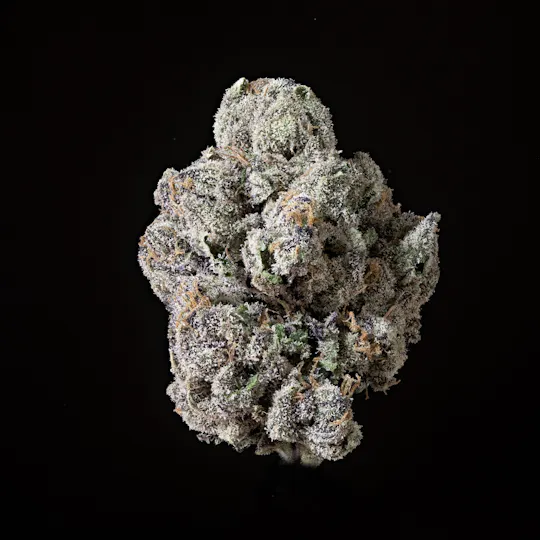 Sticky Status - Lemon Cherry Gelato - Flower 3.5 Jar - 1