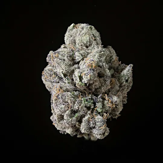 Sticky Status - Sticky Status | Lemon Cherry Gelato | Big Buds | 3.5g - 1