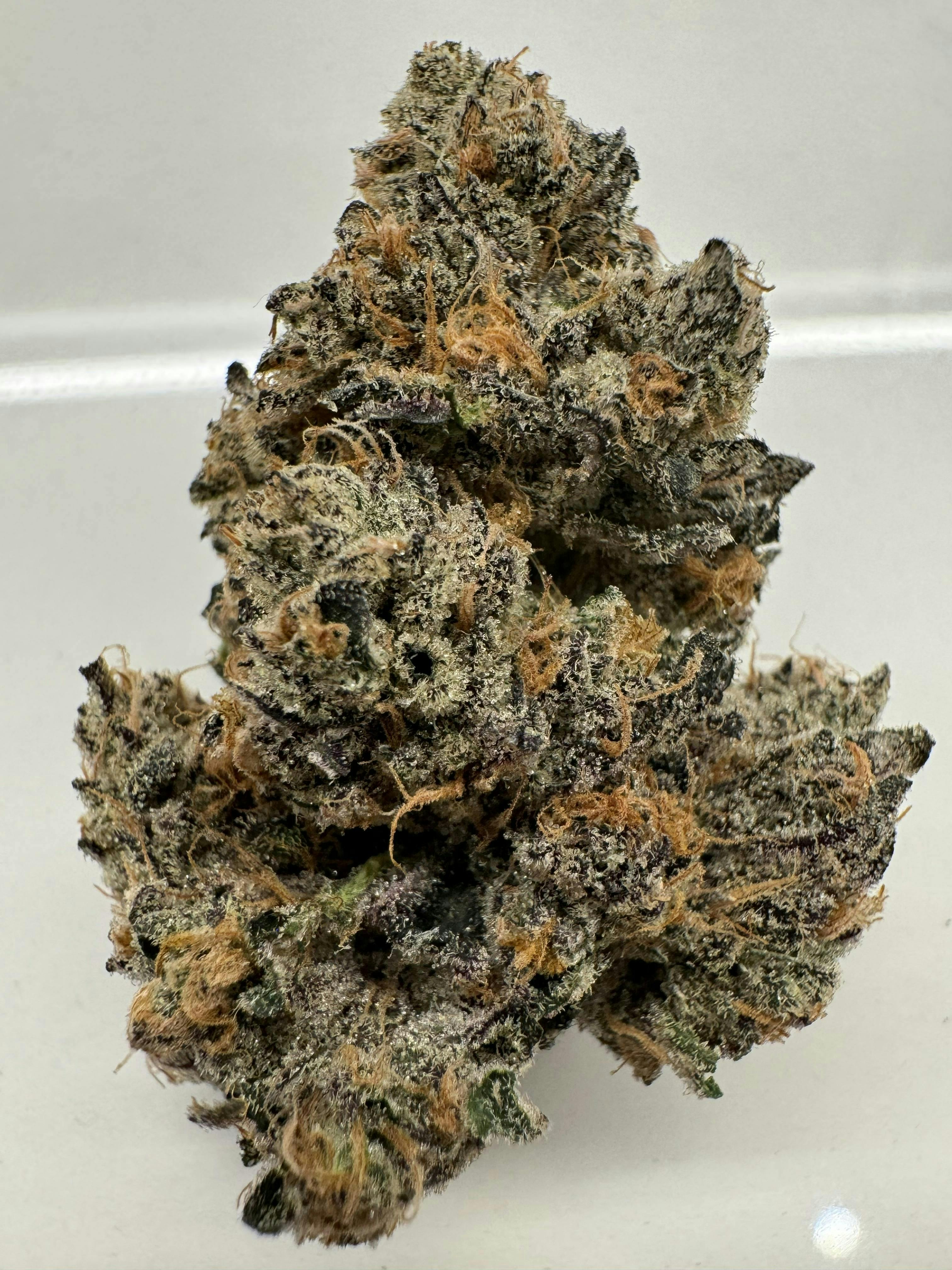 Sticky Status - Sticky Status | Frozen Cookies | Big Buds | 3.5g - 1