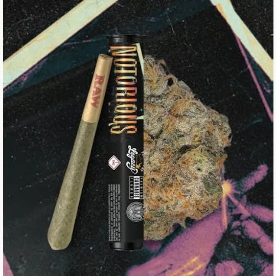 EVOL by Future - EVOL - Notorious #1 - Cone - Joint - 1g - 1