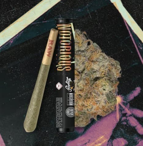 EVOL by Future - EVOL by Future | Notorious #1 | Joint | 1g - 1