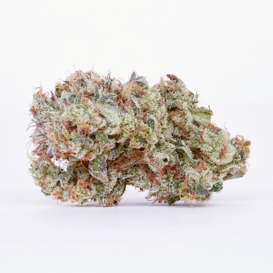 Pure Beauty - Mango Mintality | 14.17g Indoor - 1
