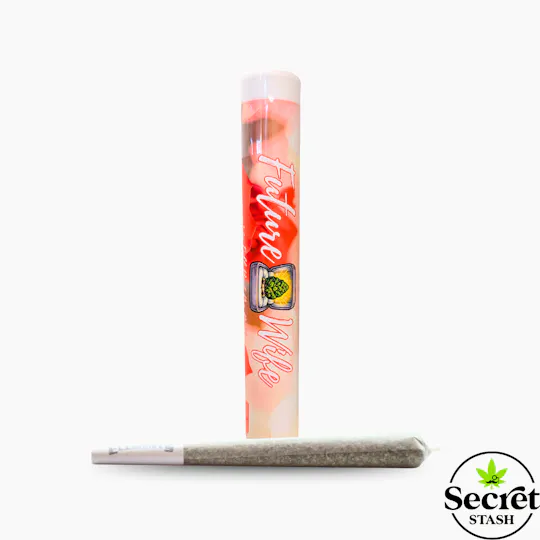 Secret Stash - Secret Stash | Full Bud Pre Roll | Future Wife | 1.2g - 1