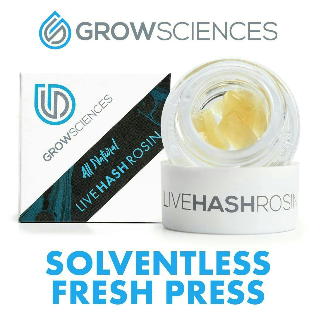 Grow Sciences - Pineapple Soda Live Hash Rosin Fresh Press (1g) - 1