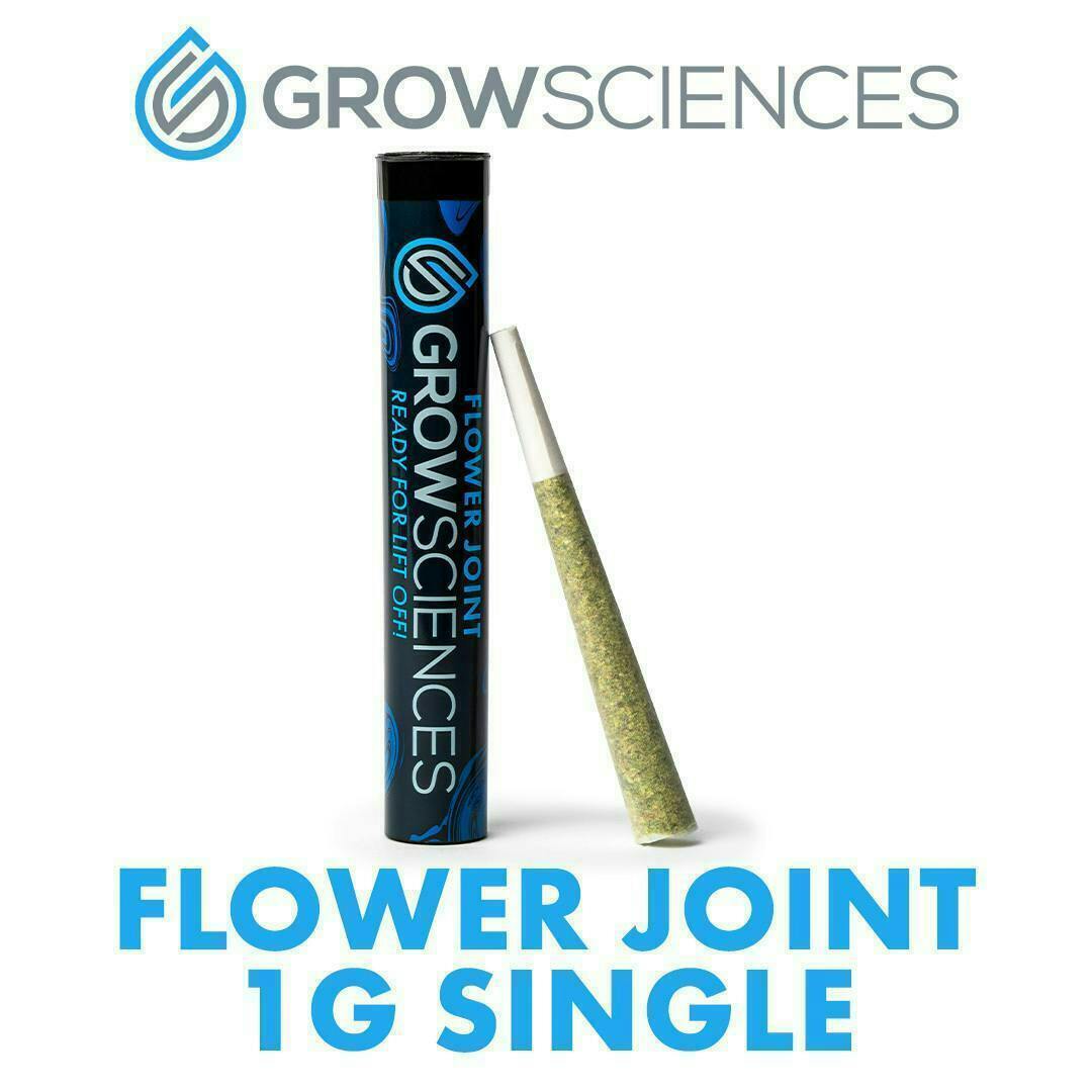 Grow Sciences - Banana Cream Cake x Jealousy Single - Infused Preroll 1.25g - 1