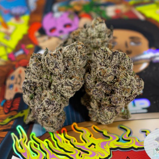 TEDS BUDZ - Yodie Land - 1