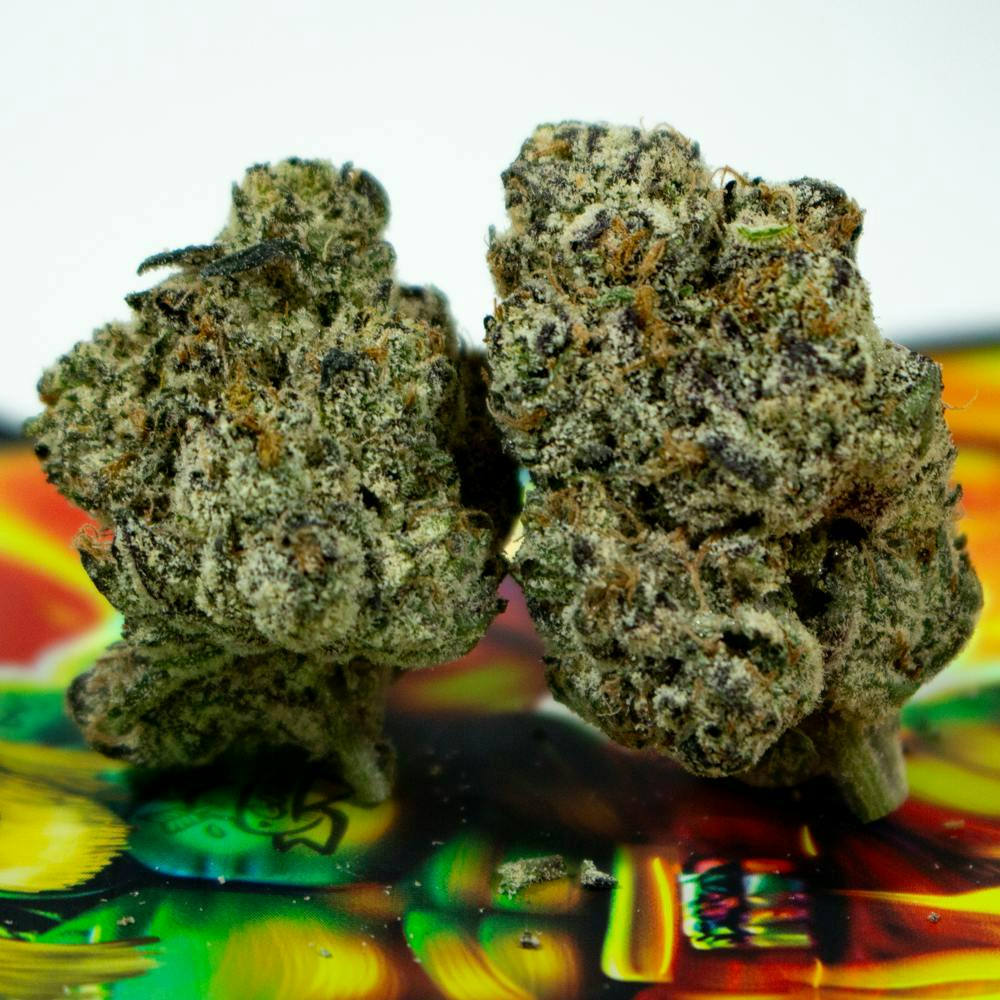 TEDS BUDZ - Gooniez | Jaw Stomper | 3.5g - 1
