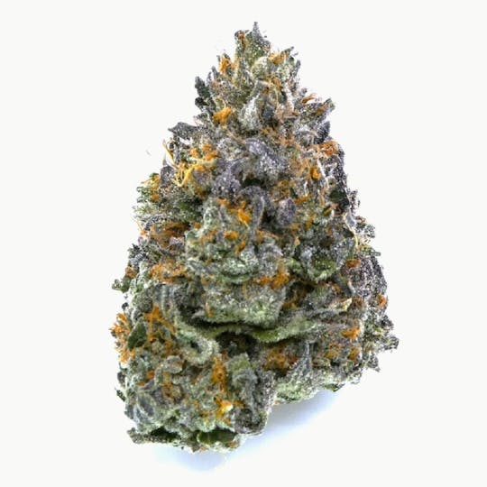 Avitas - Khalifa Kush Buds - 1