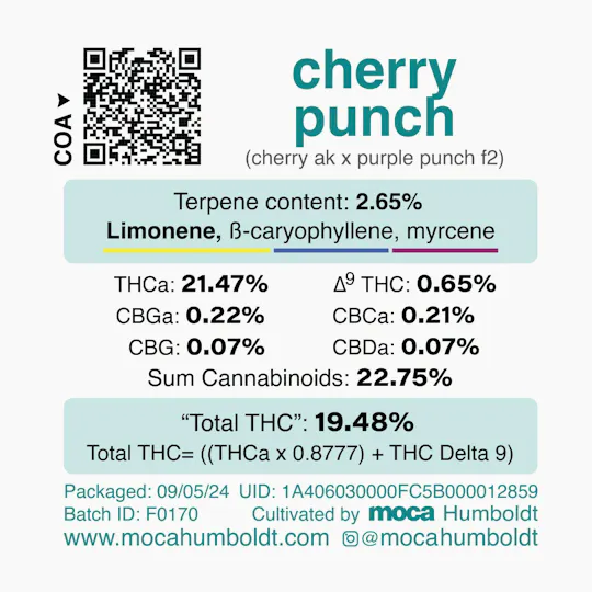 MOCA Humboldt - MOCA Flowers - Smalls 1/4 Bag - Cherry Punch - 1