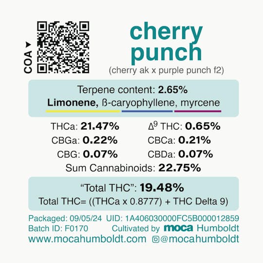 MOCA Humboldt - MOCA Flowers - 1/8th Mylar Bag - Cherry Punch - 1