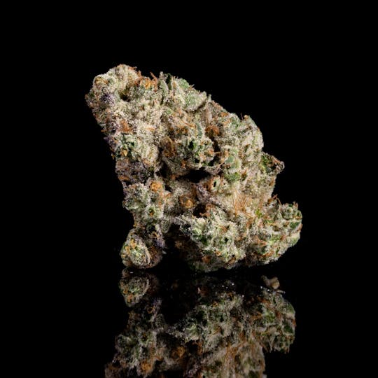 KRD - GMO - 1