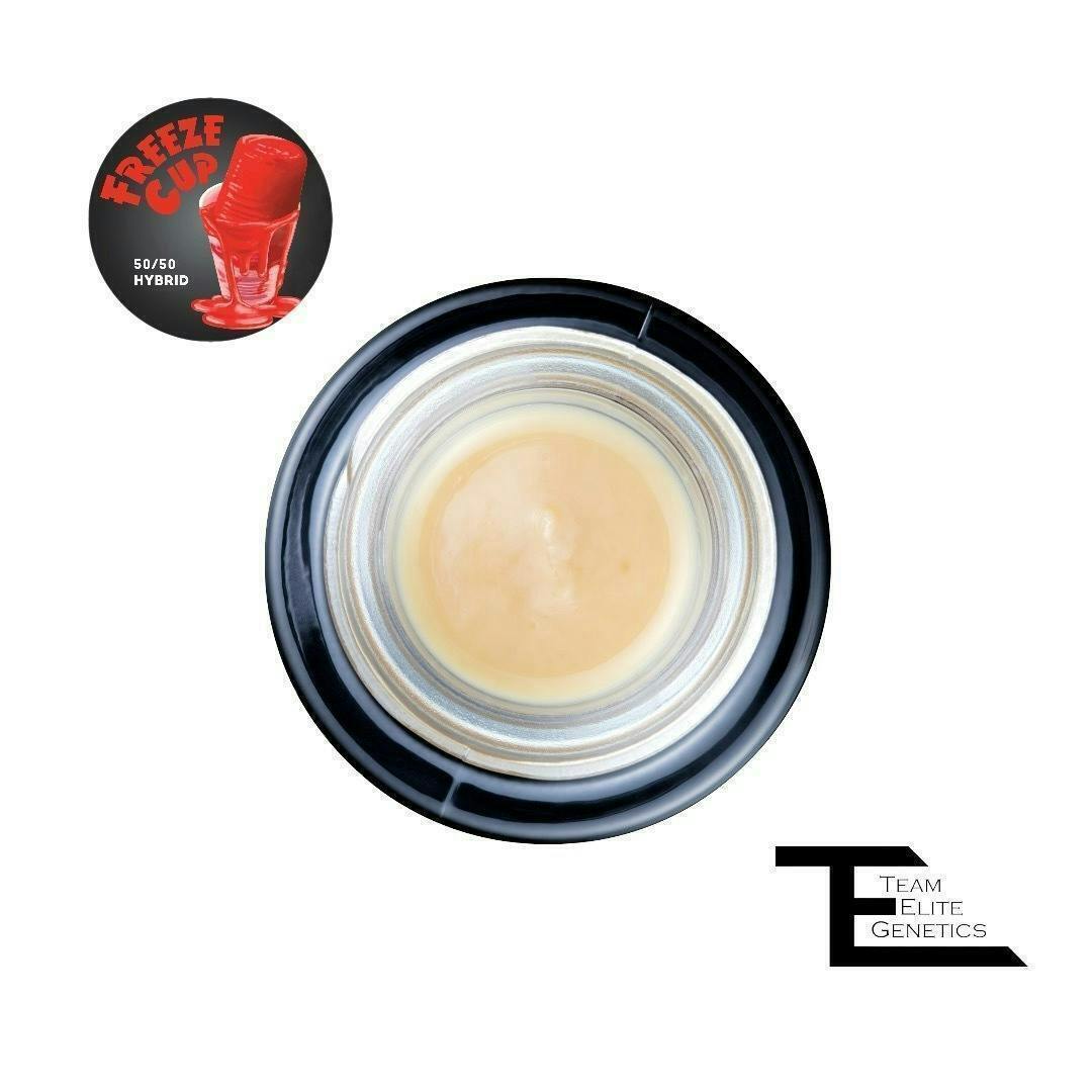 Team Elite Genetics - Freeze Cup | Cold Cure Badder | 1g - 1