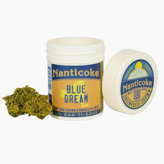 Nanticoke - BLUE DREAM FLOWER - 1