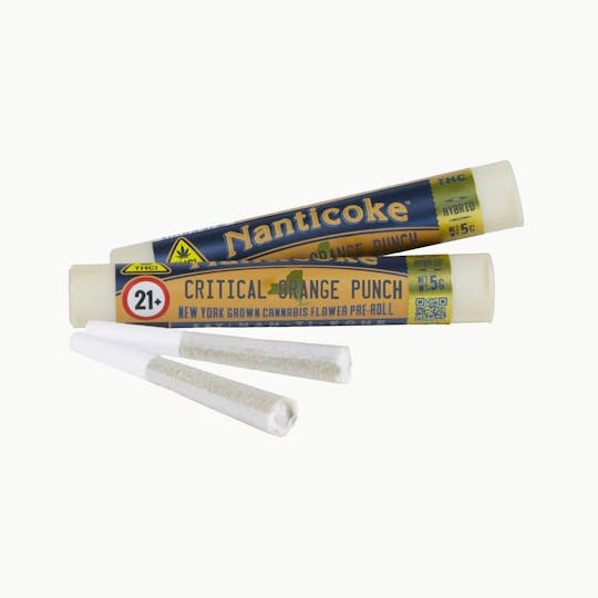 Nanticoke - CRITICAL ORANGE PUNCH 0.5G PRE-ROLL JOINT - 1