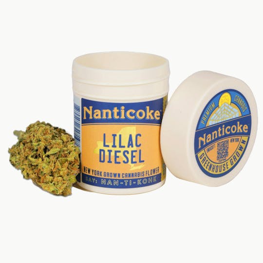 Nanticoke - LILAC DIESEL FLOWER - 1