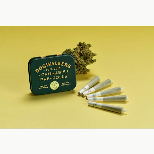 Dogwalkers - Dogwalkers Play .35g Mini Dog Pre Rolls (5pk) | Jet Fuel OG - 1