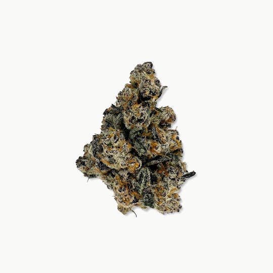 Indico - Gas Face - Pure Nectar - 1