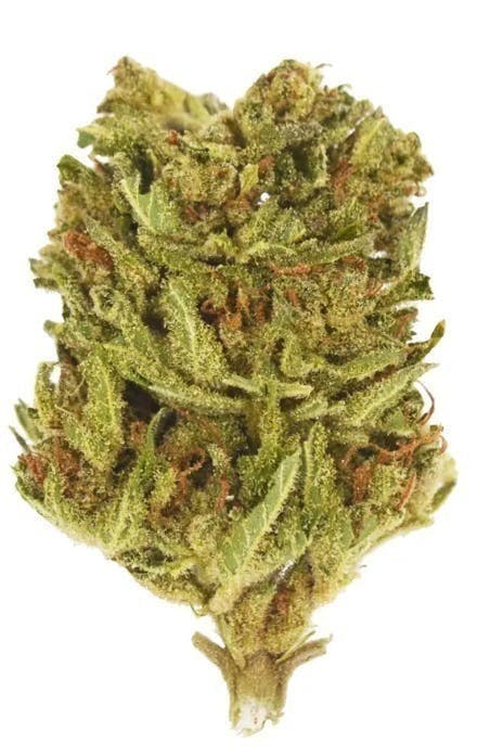 Smoakland - Smoakland Xclusivez | Black Jack | Big Buds | 28g - 1