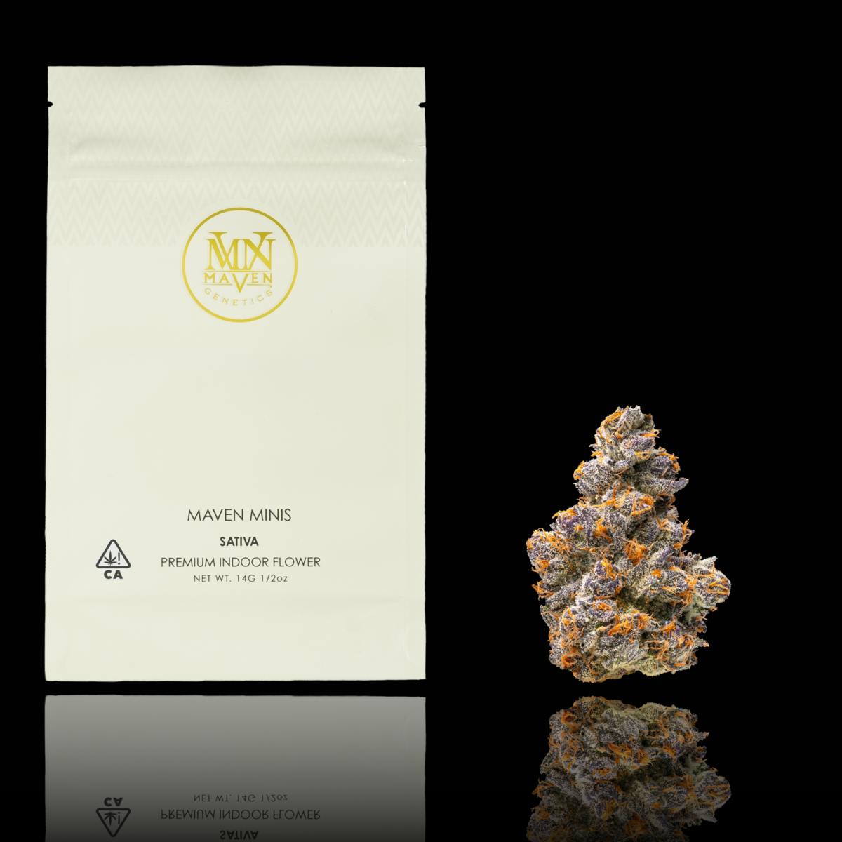 Maven Genetics - Orange Sapphire Maven Minis [14g] - 1