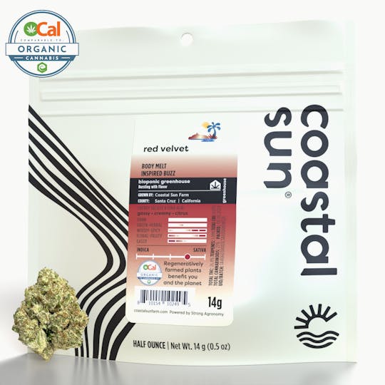 Coastal Sun - Red Velvet Greenhouse Flower 14g - 1