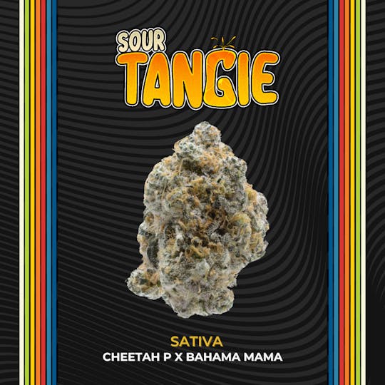 Certified Cultivators - Certified Cultivators | Flower | Sour Tangie - 1