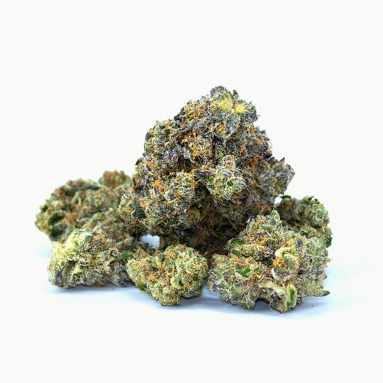 TURTLE PIE CO Brand - Turtle Pie Co. - Hatchlings - Gelato X - Indoor - 7g - 1