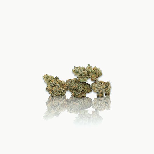 CAM - CAM | Bubba's Girl (1g) - 1