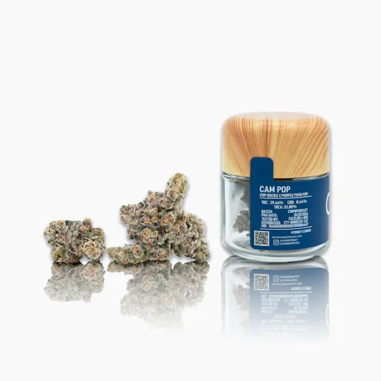 CAM - CAM | Cam Pop | Big Buds | 3.5g - 1