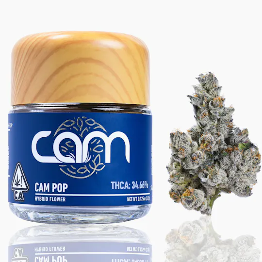 CAM - CAM | Cam Pop | Big Buds | 3.5g - 1