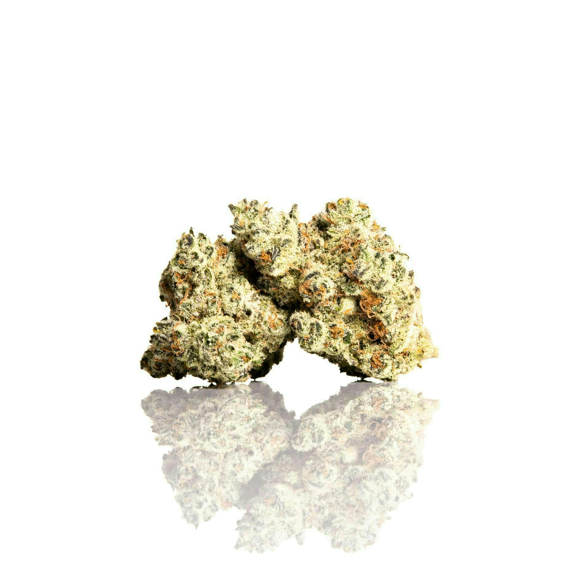 CAM - CAM | Nine Lions | Big Buds | 1g - 1