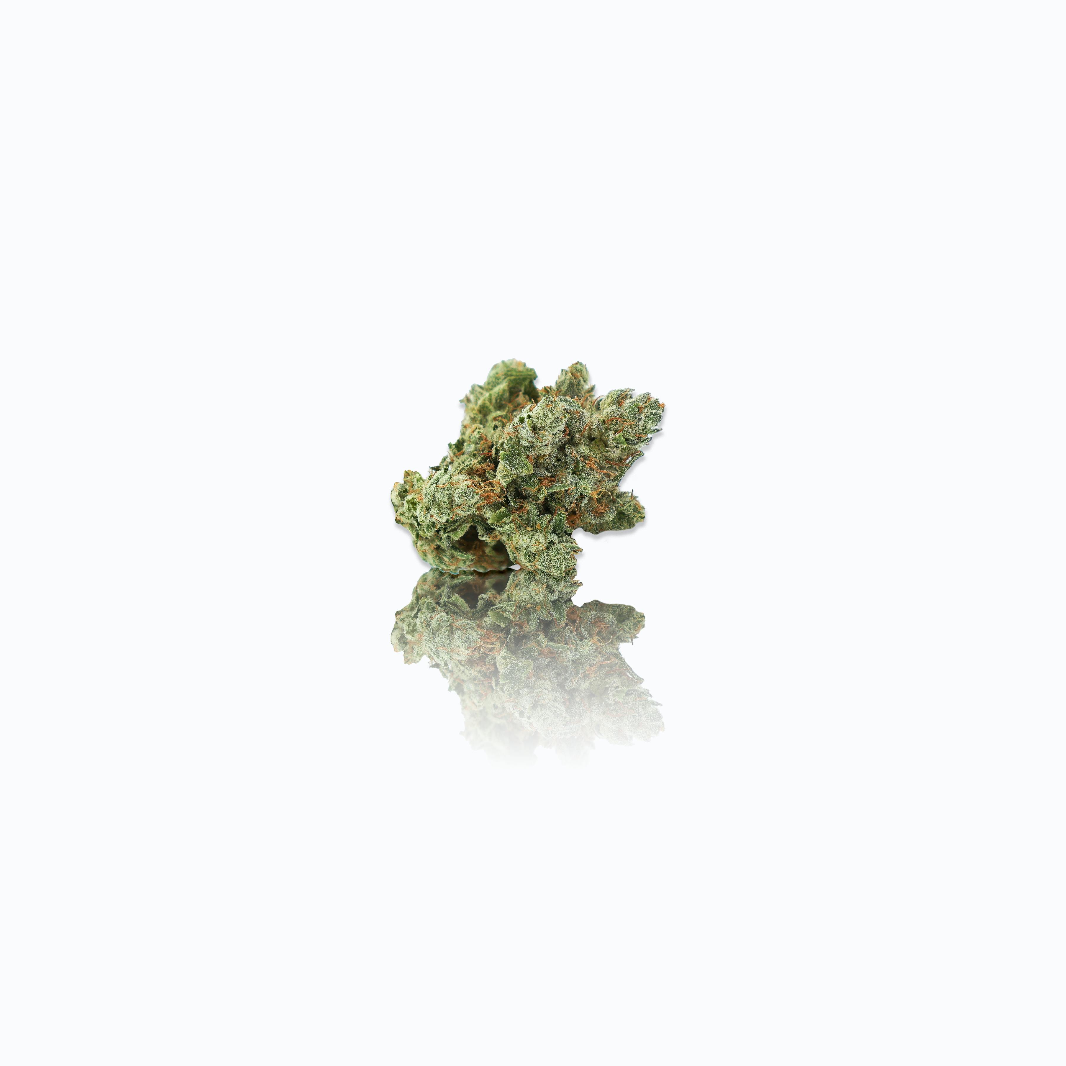 CAM - CAM | CAM's Super Glue | Big Buds | 1g - 1