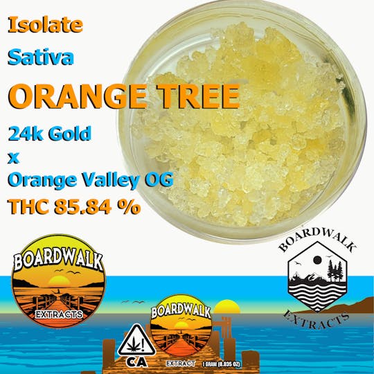 Boardwalk Extracts - Isolate | Orange Tree - 1