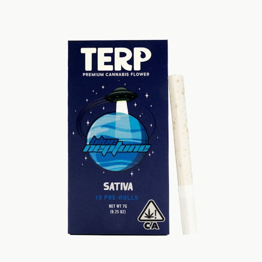 TERP Brand - TERP 7G 10 Pack Cannarettes - Blue Neptune - 1