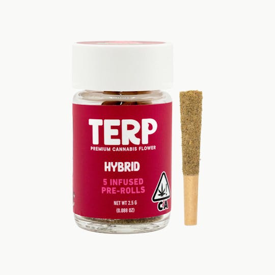 TERP Brand - TERP 2.5G 5 Pack Infused Preroll - Gelato #41 - 1