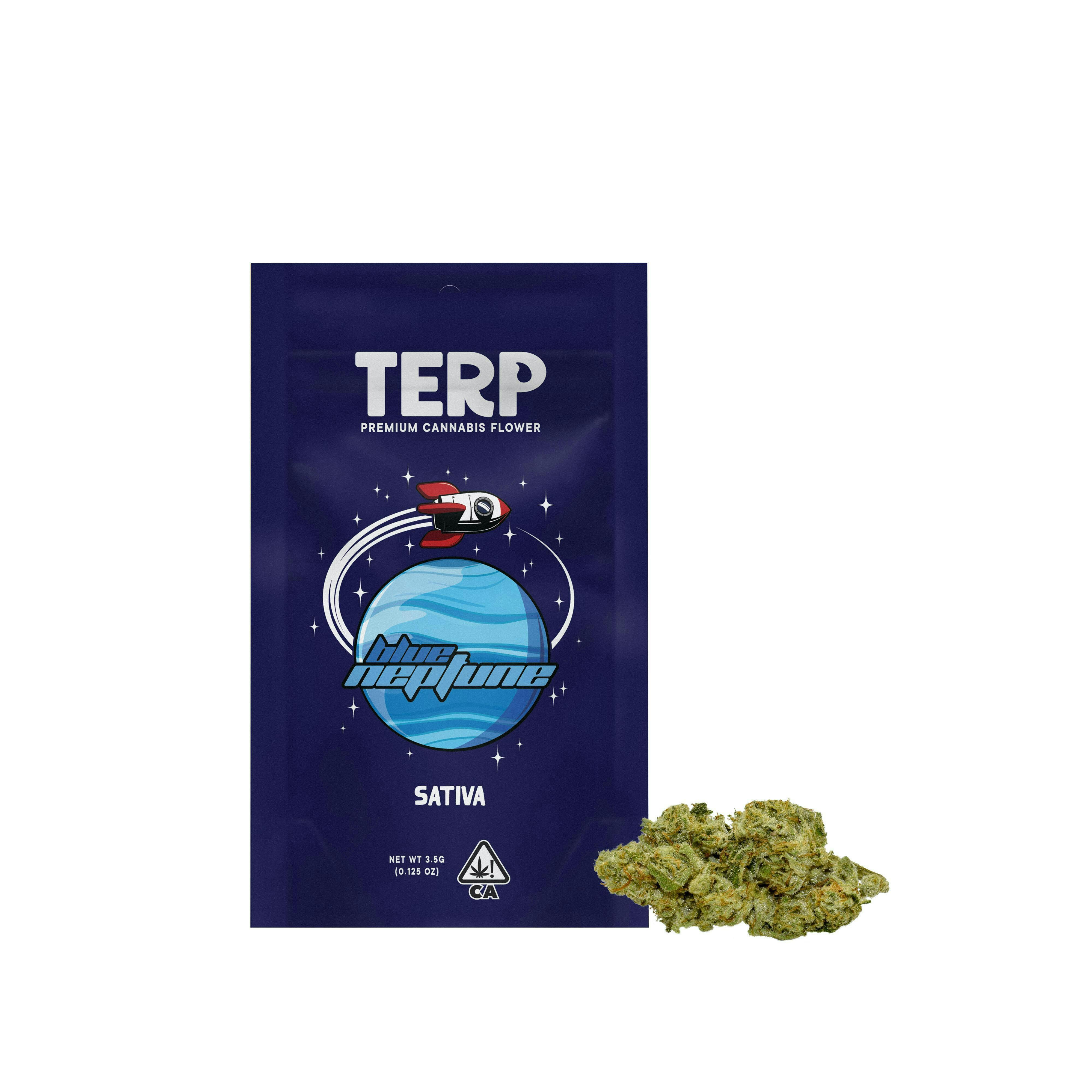 TERP Brand - TERP Brand | Blue Neptune | Big Buds | 3.5g - 1