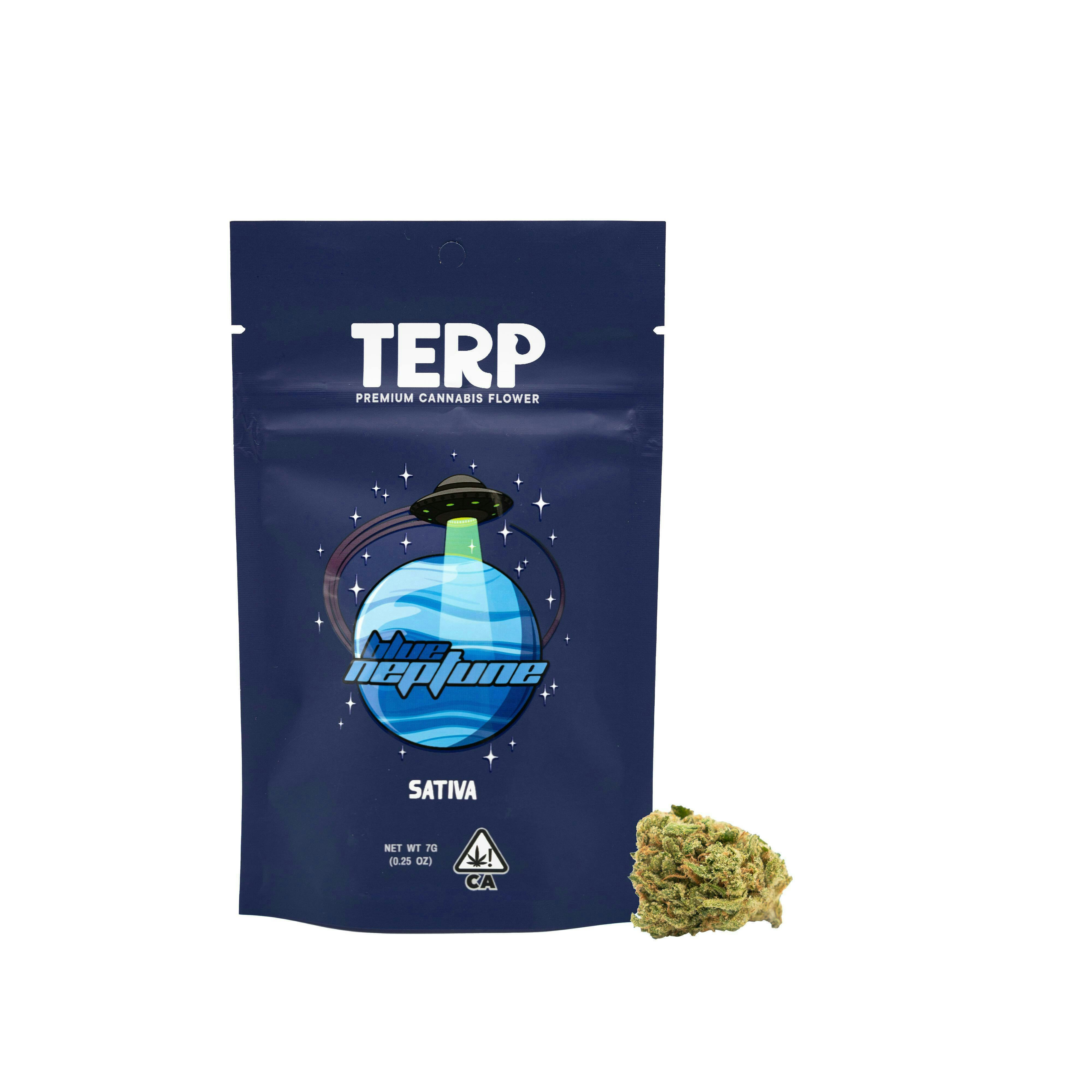 TERP Brand - TERP Brand | Blue Neptune | Big Buds | 7g - 1