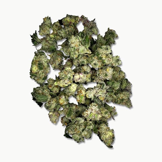 Indico - Banana Cooler (Smalls) $100oz - Indico - 1