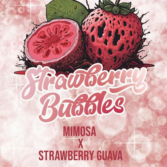 Okie TSGP - Strawberry Bubbles - 2g - Live Hash Rosin Batter - 1