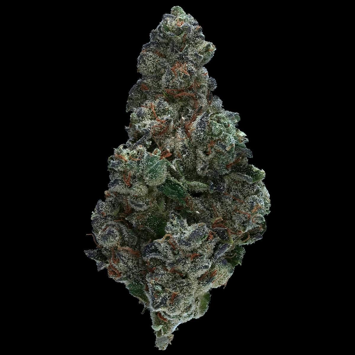 Prolific Growhouse - Sticky Icky - 1