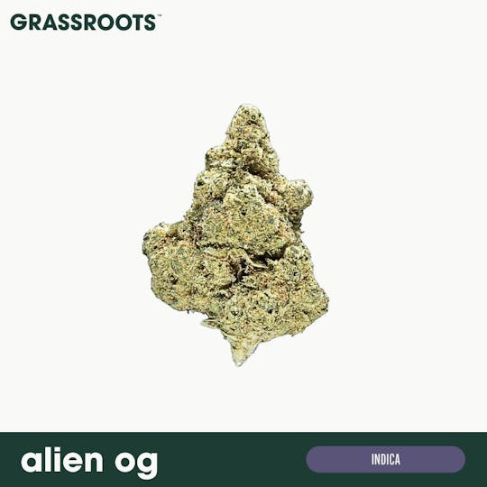 Grassroots - Alien OG Flower - 1