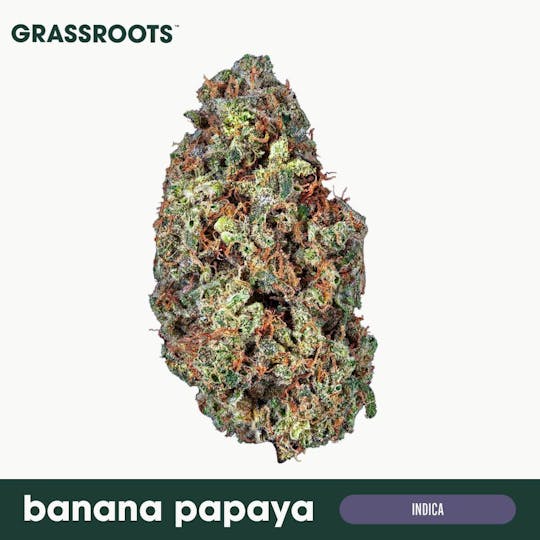 Grassroots - Banana Papaya Flower - 1