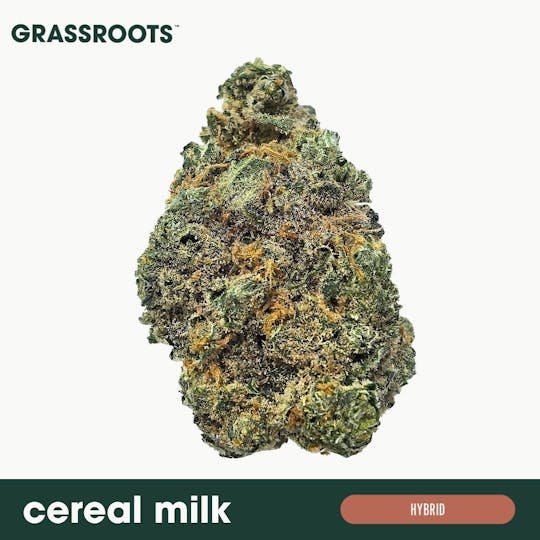 Grassroots - Cereal Milk Flower - 1