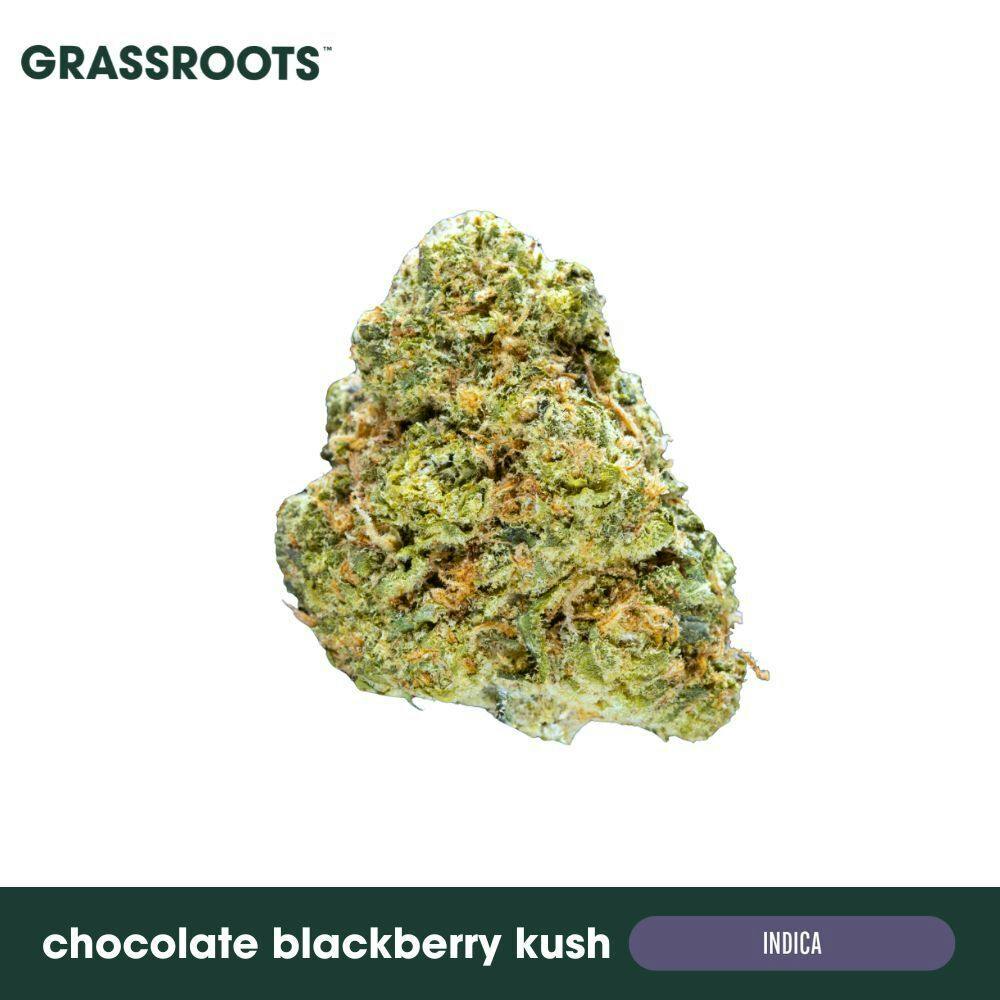 Grassroots - Chocolate Blackberry Kush Flower - 1