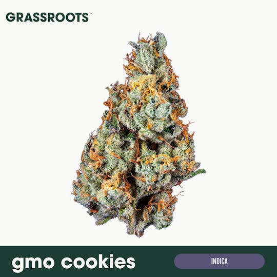 Grassroots - GMO Cookies Flower - 1