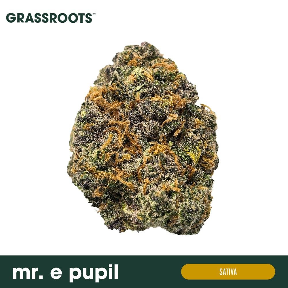 Grassroots - Mr. E Pupil Flower - 1