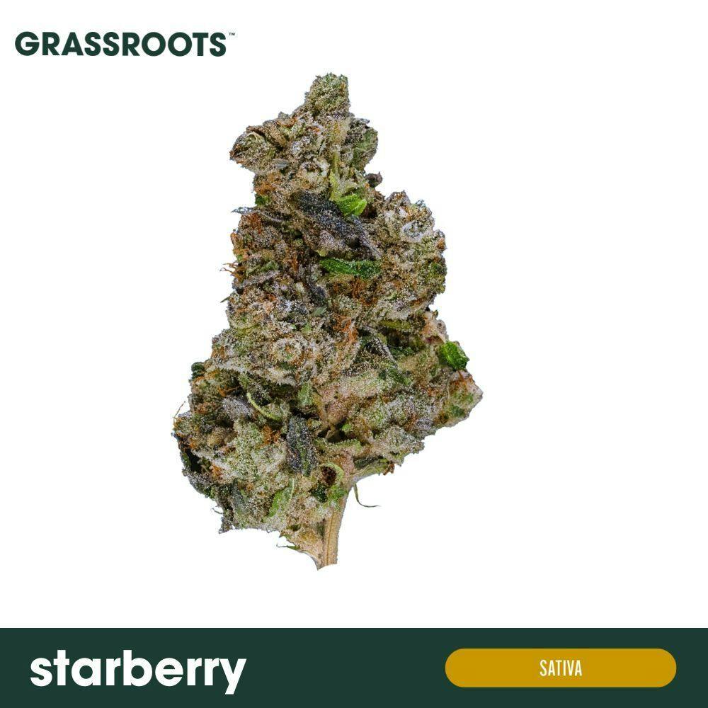 Grassroots - Starberry Flower - 1
